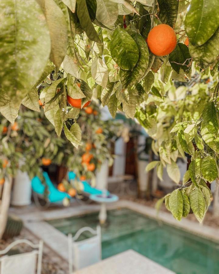 Riad Slitine & Spa 마라케시 외부 사진